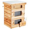 VEVOR Bee Hive 30 Frame Bee Hives Starter Kit, Beeswax Coated Cedar Wood, 2 Deep + 1 Medium Bee Boxes Langstroth Beehive Kit, Transparent Acrylic Wind